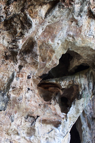 Details and forms of rocks on Railay peninsula, Thailand - Φωτογραφία, εικόνα