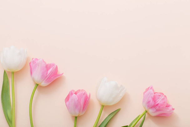 pink and white tulips on paper background - Photo, image