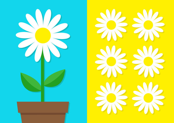 set of white chamomiles and flowerpot on blue and yellow background, vector illustration  - Wektor, obraz