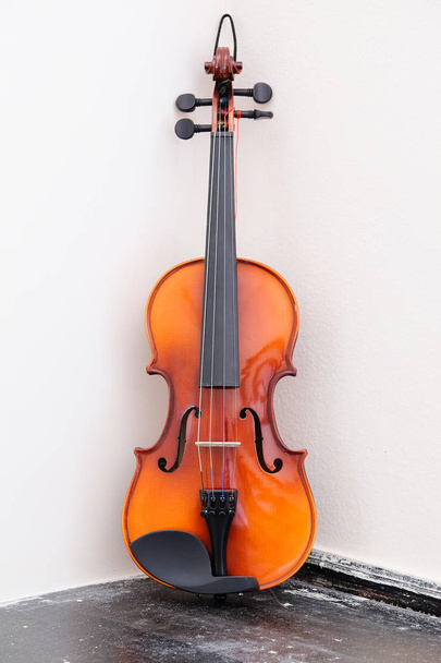 The image of violin - Valokuva, kuva