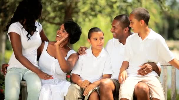 Familia étnica al aire libre relajación aprendizaje alto cinco
 - Metraje, vídeo