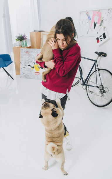 Young woman playing with pugs in stylish room  - Foto, Imagem