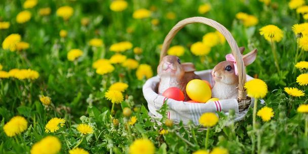 värikkäitä pääsiäismunia korissa  - Valokuva, kuva