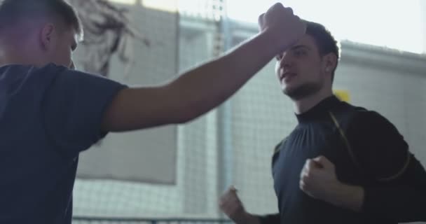 Men training fight technique - Záběry, video
