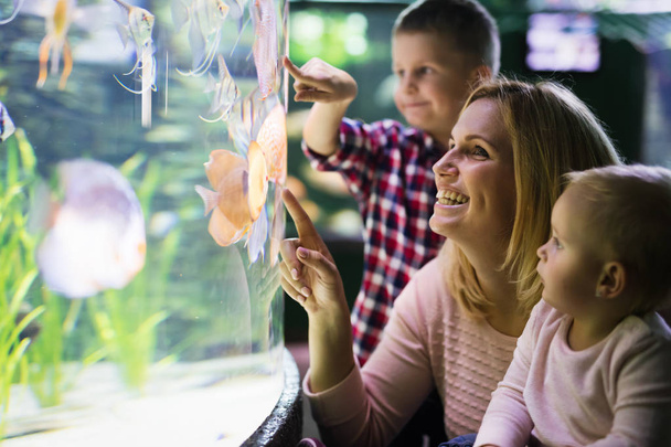 Happy cute family looking at fish tank at the aquarium - Photo, image