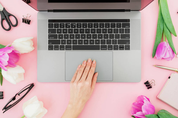Top view on female hand working on laptop surrounded by tulips and different stationery on pink background - Foto, Imagem