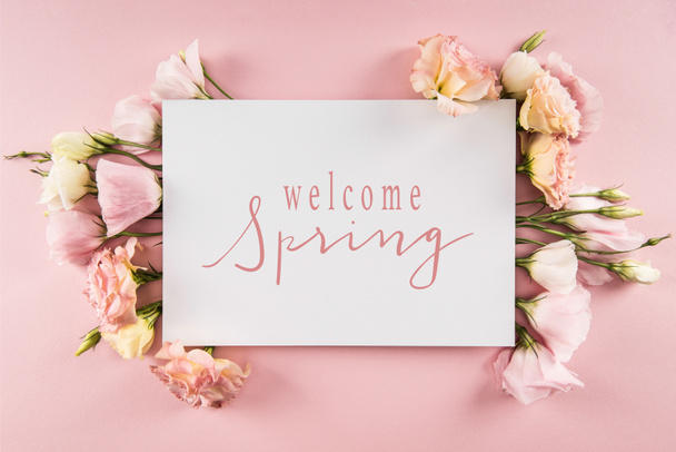 Top view of WELCOME SPRING card and beautiful blooming flowers isolated on pink - Photo, Image