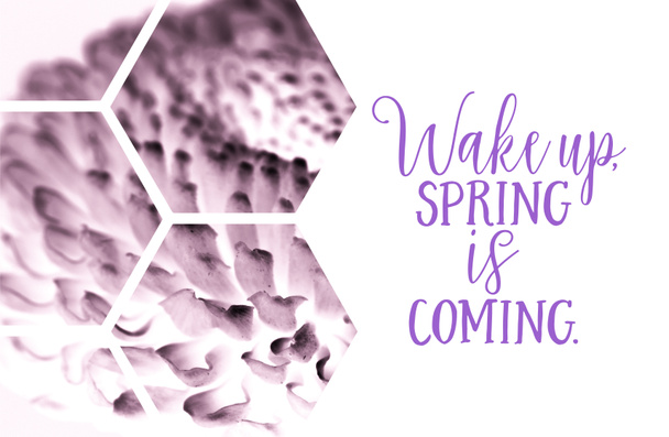 view through transparent hexagons on purple flower with WAKE UP. SPRING IS COMING inscription - Fotoğraf, Görsel