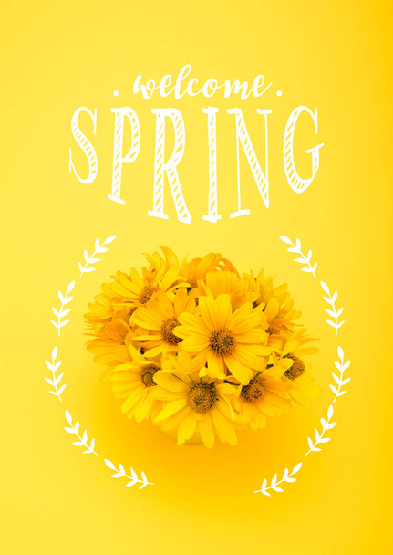 Pohled shora krásnou chrysanthemum květiny s nápisem Welcome Spring izolované na žluté - Fotografie, Obrázek