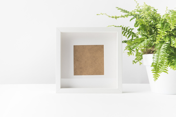 close-up view of empty photo frame and beautiful potted fern on white - Photo, Image
