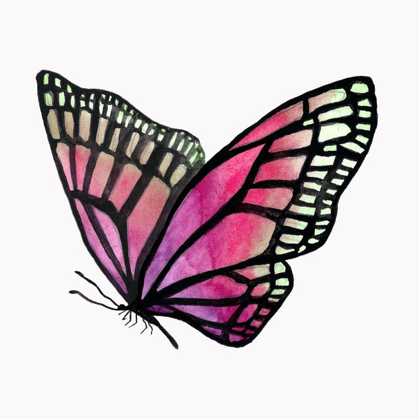 Illustration of a watercolor butterfly with a black outline.  - Fotó, kép