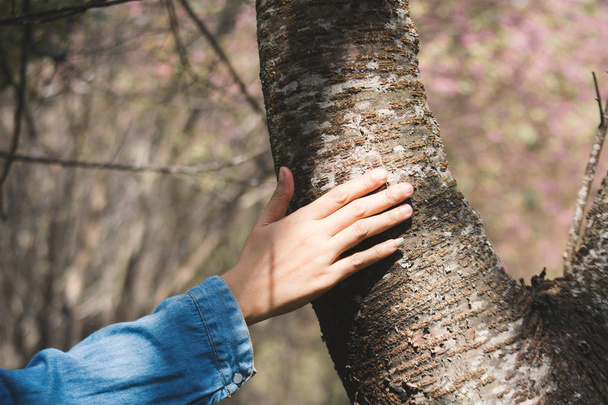 Female hand touching big tree color of hipster tone selective soft focus, concept nature and people - Fotoğraf, Görsel