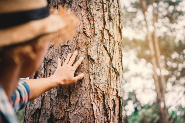 Man touching big tree color of hipster tone selective soft focus, concept nature and people protect environment - Foto, Bild