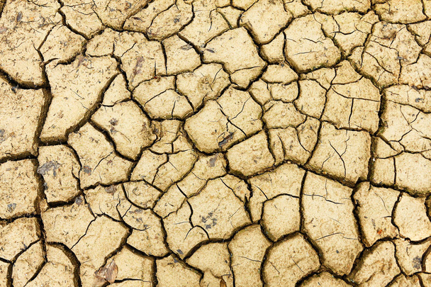 Popraskané suché půdy po katastrofě - Fotografie, Obrázek