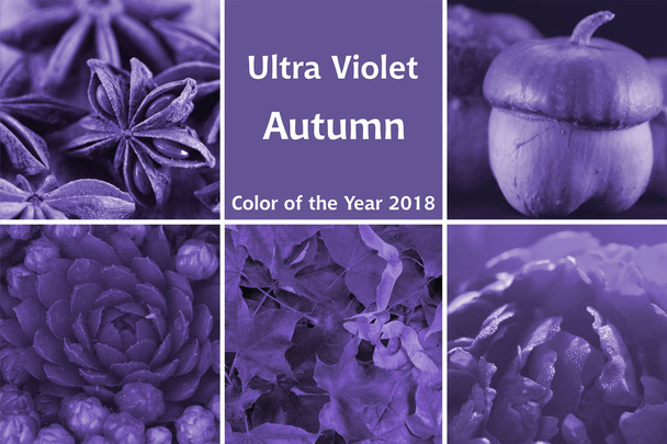 Collage of ultra violet - autumn - Photo, Image
