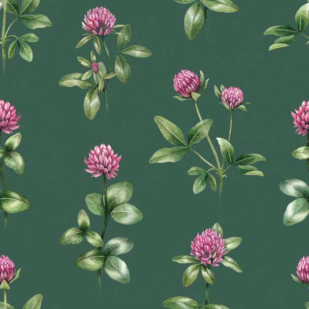 Watercolor illustrations of clover flowers. Seamless pattern - Zdjęcie, obraz