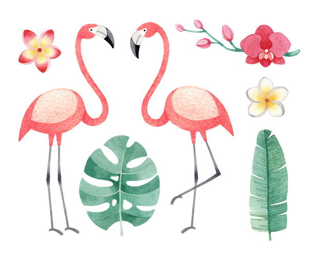 Watercolor illustrations of flamingos, tropical flowers and leaves - Foto, Bild
