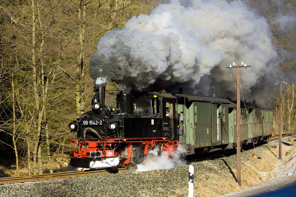 Comboio a vapor, Steinbach - Johstadt, Alemanha
 - Foto, Imagem