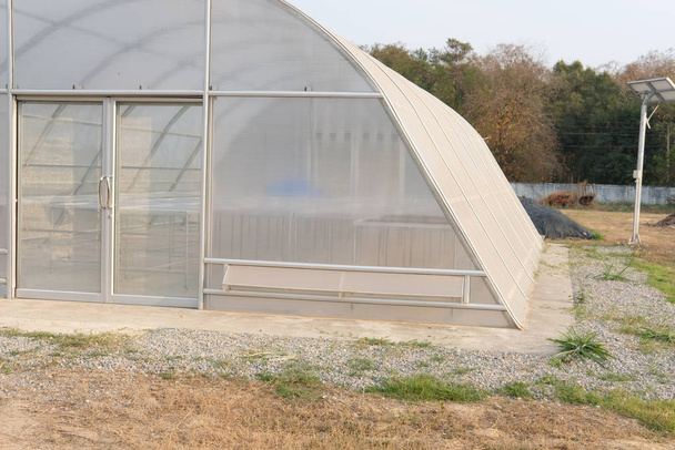 aluminium lade in zon droger glazen huis voor het drogen van levensmiddelen - Foto, afbeelding