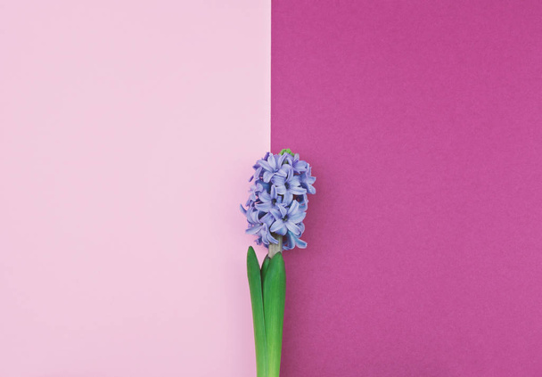 Abstract minimalism spring background - Photo, Image
