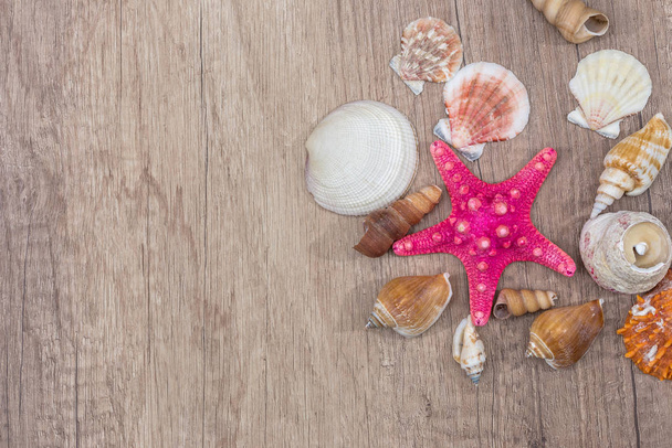 Sea shells on wooden background. top view, close up. - Fotoğraf, Görsel
