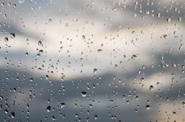 雨の水の滴の背景 - 写真・画像
