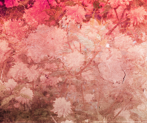 textura vinobraní červený květ - Fotografie, Obrázek