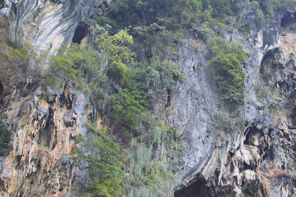Szczegóły i formularze skał na półwyspie Railay w Krabi, Tajlandia - Zdjęcie, obraz