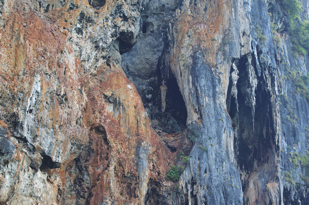 Details and forms of rocks on Railay peninsula, Krabi, Thailand - 写真・画像