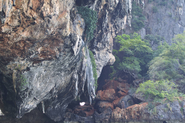Λεπτομέρειες και τις μορφές των βράχων στο Railay χερσόνησο, Ταϊλάνδη - Φωτογραφία, εικόνα