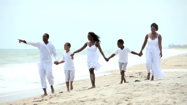 民族の家族が一緒にビーチを歩くを楽しんで - 映像、動画