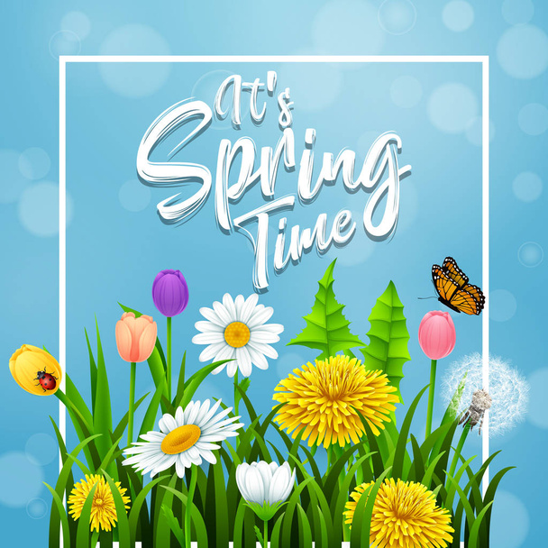 Tavaszi idő. Gyönyörű rét virágok, kék háttérrel - Vektor, kép