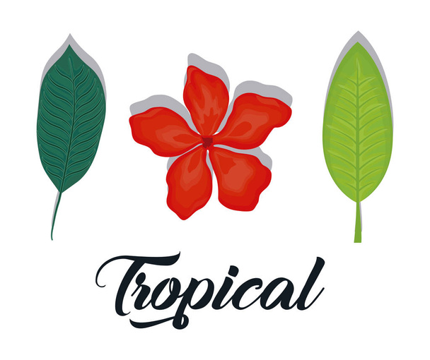 conjunto de hojas tropicales de verano y de moda
  - Vector, Imagen