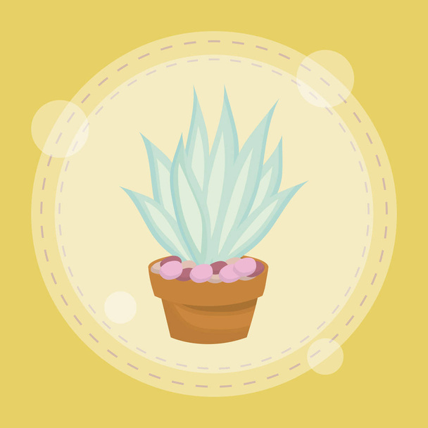 cute succulent plant in pot - Vector, Image