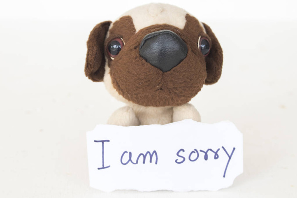 lo siento tarjeta de mensaje con juguete de perro en fondo blanco
 - Foto, imagen