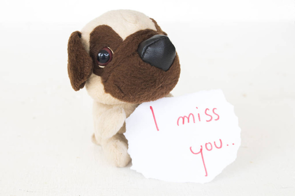 я сумую за тобою листівку з іграшкою для собак на фоні білого
 - Фото, зображення