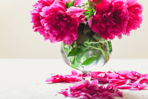 Bouquet of red peonies in vase on white background - Foto, Imagem