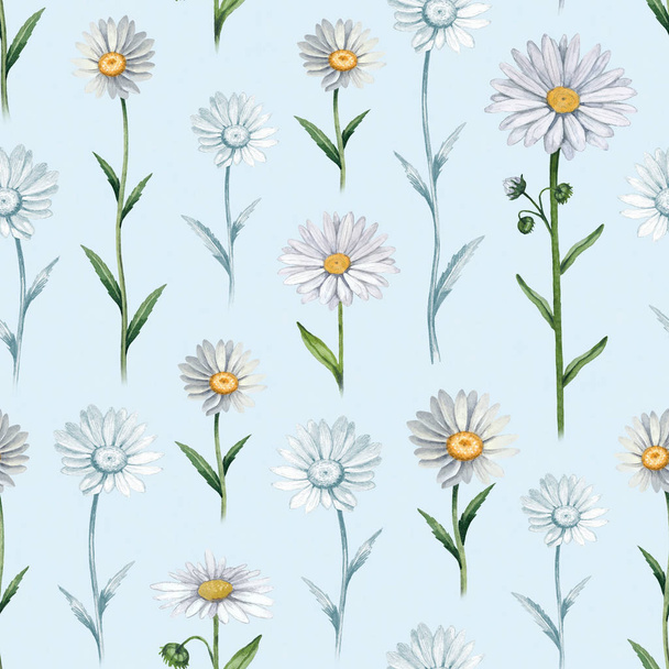 Illustrations of camomile flowers. Seamless pattern - Photo, image