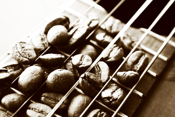Kaakaopapuja kielissä kitarasta
 - Valokuva, kuva