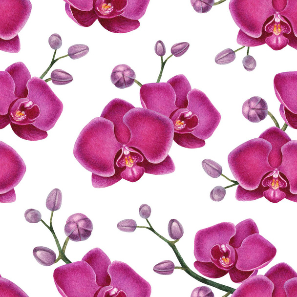 Watercolor illustrations of orchids. Seamless pattern - Fotografie, Obrázek
