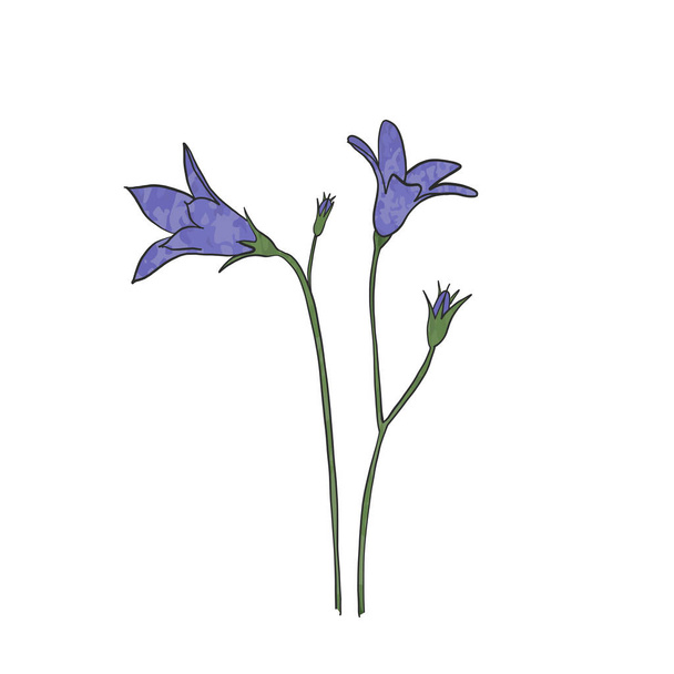 Рука намальована квітка синього кольору, вектор
 - Вектор, зображення