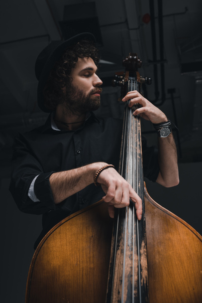 bottom view of handsome musician playing contrabass - Foto, immagini