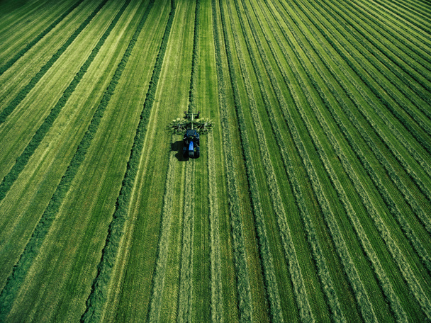 Blue tractor mowing green field, aerial view - Photo, Image
