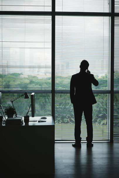 Telefonda konuşurken ofis pencereden bakarak işadamı - Fotoğraf, Görsel