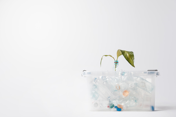 Close-up van container met plastic flessen en groene bladeren geïsoleerd op wit, verwerkingsconcept - Foto, afbeelding
