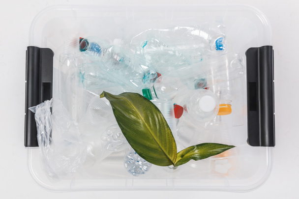 top view of container with plastic bottles and green leaves isolated on white, recycling concept - Fotoğraf, Görsel