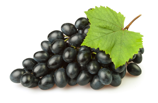 Синий виноградный лист
 - Фото, изображение