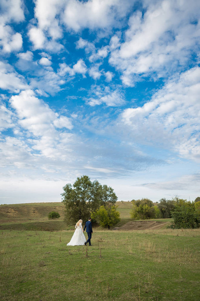 The newlyweds in the background of beautiful clouds - Photo, image