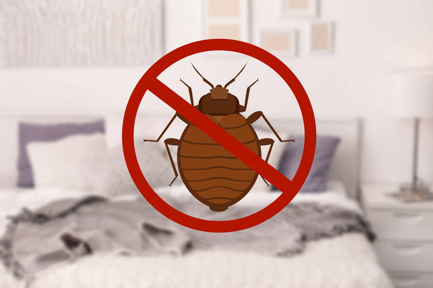 Stop bug sign and clean bed in room - Zdjęcie, obraz
