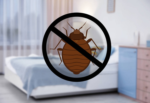 Stop bug sign and clean bed in room - Photo, image